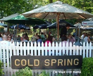 cold-spring-depot